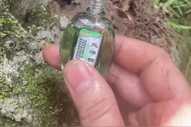 #中华蜜蜂 风油精收蜜蜂技巧分享~视频封面