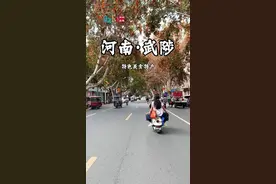 盘点武陟那些不能错过的美食和特产，欢迎补充 #武陟 #武陟攻略 #食在武陟 #武陟故事 #舌尖上的抖音