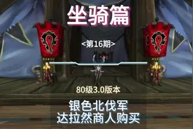 银色锦标赛➕商人购买一共25只坐骑#魔兽世界 #魔兽世界怀旧服视频封面