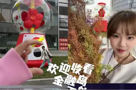 来看看我在金融岛的一天在干什么吧~😼 #湖边生活节 #日常vlog #moment视频封面