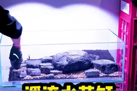 溪流水草缸开缸教程来了！ #水草缸 #水族 #溪流缸视频封面