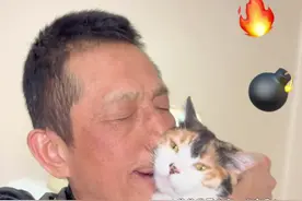 北京富二代想领养我爸的小猫，老爸的反应太搞笑了哈哈哈哈哈哈哈 #万物可爱计划 #猫咪 #抖音萌宠 #这小猫谁养谁不迷糊啊  #小猫治愈世界