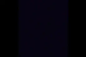 智慧的本质是什么，智商IQ是什么，知识是什么，智力又是什么视频封面