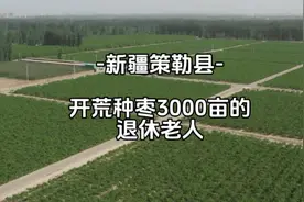 在沙漠种枣树？一种就是3000亩，这帮人到底是怎么想的！？视频封面