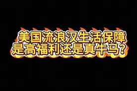 在大侄子们的口中，流浪汉也是让人羡慕的#美国流浪汉  #中美博弈 #舆论战 #美国 #中国视频封面