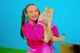 如果你想要给小猫咪制作房间？第一视角带你改造猫咪房间