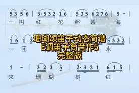 珊瑚颂笛子动态简谱E调筒音作5完整套#创作灵感 #笛子简谱大全