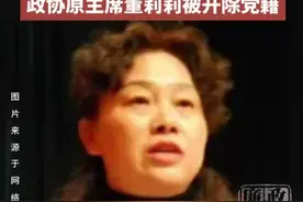 追求低级趣味，湖南省常德市桃源县政协原党组书记、主席董莉莉被开除党籍