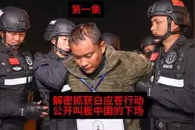 #抓获白应苍行动 公开叫板中国的下场第一集