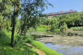 萧太后河，朝阳大兴通县交界#每一种生活都值得被记录 湿地，树林视频封面