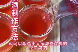 传统李子果酒制作方法#果酒 #美食分享 #水果酒视频封面