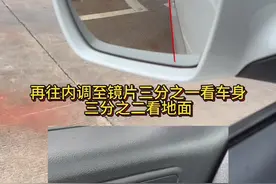 倒车入库的后视镜角度，不是非要看到后轮#驾驶技巧 #考驾照 #倒车入库 #科目二视频封面