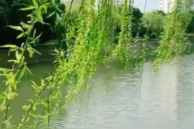#早上好暖心问候最在乎的人 #表达爱意暖心短句心里有你视频封面