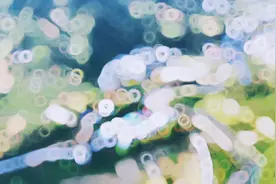 湖北恩施又一家山泉水厂诞生，其水源地来自华中药库