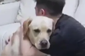 5月8日，四川。夫妻吵架狗子安慰男主人，下一秒狗狗的行为让人惊讶。（视频来源@旺仔很忙🐶 ）