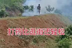 #快螳螂#冷雾机#果园#果园打药机 #省时省力效率高视频封面