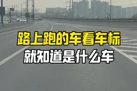 看车标你能认识多少种车#每天一个用车知识 #汽车知识视频封面