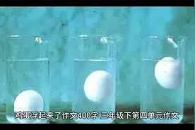 鸡蛋浮起来了 三年级下册第四单元作文视频封面