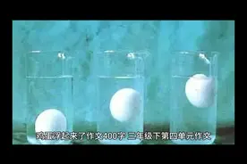 鸡蛋浮起来了 三年级下册第四单元作文视频封面