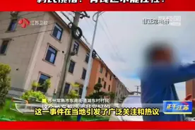 苏州常熟市东南街道湖东村的一处投资近1700万元建设的公园在短短不到五个月内遭到拆除，这一事件在当地引发了广泛关注和热议。村民们对此深感惋惜，认为此举既浪费了公共资源，也损害了村民们的利益#苏州#公共资源#不合规#复耕视频封面