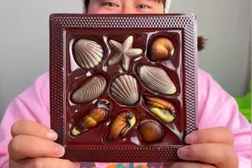 阿钟今天来吃两款精致的童年回忆巧克力#美食 #零食 #巧克力视频封面