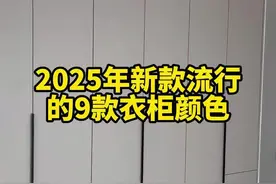 2025年新款流行的9款衣柜柜门颜色，你喜欢哪一款？ #衣柜 #装修 #装修分享 #柜子配色怎么配出高级感 #现代简约高级感配色视频封面