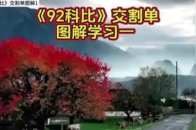 92科比交割单图解学习一 #股票 #股民 #财经