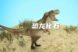 恐龙化石的形成#科普 #恐龙 #古生物化石