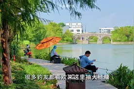 杭州钓点分享推荐-萧山湘湖三江口垂钓区 湘湖垂钓区在湘湖景区内视频封面