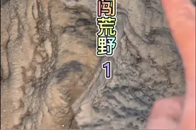 一人一狗独闯荒野北盘江，没想到一来就个捡到野生山洞，还爆护了 #荒山野岭 #真实户外 #钓鱼人就是这么疯狂 #中逵钓鱼王30周年正青春 #中逵挑战视频封面