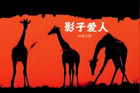 影子爱人！#影子爱人 #影子不会说谎 #用心去感受视频封面