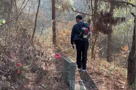 #热门 每年惯例大年三十上山祭祖，给祖坟除草🌿🌿🌿#上坟祭祖视频封面