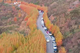 金华秋天最值得打卡的免费景点，一个比一个更漂亮，你最想去哪个？一定要收藏好#旅行推荐官 #最美秋天 #东白山 #通济湖 #给秋天点颜色看看视频封面