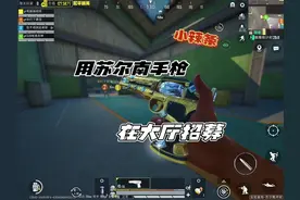 带着苏尔南手枪进招募队 #苏梓 #和平精英pc模拟器