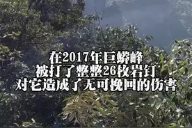 #巨蟒峰视频封面