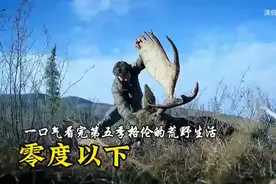 一口气看完格伦的荒野生活!#这个游戏很好玩 #荒野求生 #野外生存