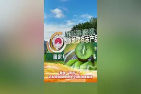 美味“警告”！这就是酸甜刚刚好的眉县猕猴桃#猕猴桃 #眉县视频封面