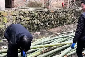 竹屋搭建全程 新手小白竹屋搭建全过程。全程快进，请耐心观看。#竹屋搭建 #农村生活 #新农人计划 #我要上热门🔥