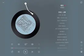 #每日推荐音乐 #推歌 #音乐分享 #孙燕姿 《雨天》完整版视频封面