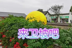 洛阳好玩的地方打卡地免费景区卫坡古村落，古今交映帅哥美女多视频封面