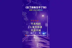 不该和你人海中相遇，不该不明不白爱上你#忘了所有忘不了你 #伤感音乐 #抖音热歌视频封面