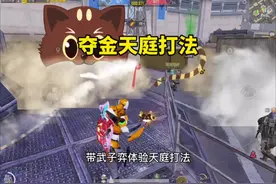 带武子弈体验冰河夺金天庭打法 #和平精英地铁逃生