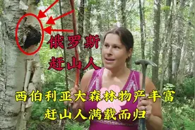 俄罗斯赶山人，西伯利亚原始森林物产丰富，美女赶山人满载而归视频封面
