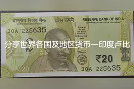 分享世界各国及地区货币—印度卢比#钱币知识 #钱币百科 #知识