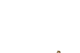 我爸爸可是总警监#娱乐 #cheems #狗头 #搞笑视频视频封面