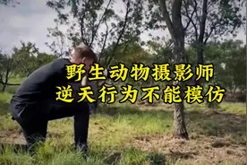 野生动物摄影师，逆天行为不能模仿！ #野生动物摄影师 #科普一下