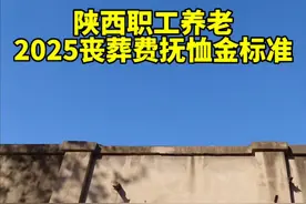 陕西职工养老，2025丧葬费抚恤金标准最高超过10万#抚恤金 #丧葬费 #陕西 #保障师说社保 #内容启发搜索视频封面