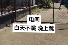 为啥电闸白天不跳晚上跳呢？大家给分析一下。。。#电路维修 #s470指针万用表视频封面