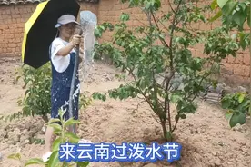 17000后，萌补离家出走，怎样才能让它重归故里？