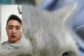 公猫不绝育会尿闭吗 #猫咪 #萌宠出道计划 #猫绝育 #萌宠 #养猫人 @抖音短视频视频封面